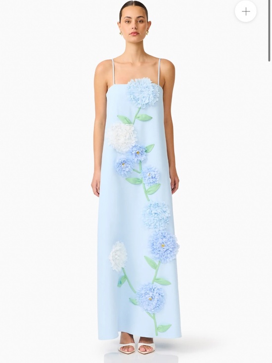 Elliatt Dresses & Skirts - Elliatt Buttercup Embroidered Maxi Dress in Blue